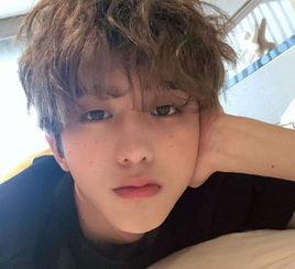 蔡徐坤爆料录音视频下载,揭秘背后真相与争议